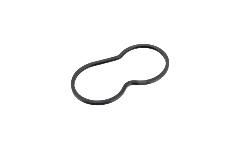 Thermostat gasket