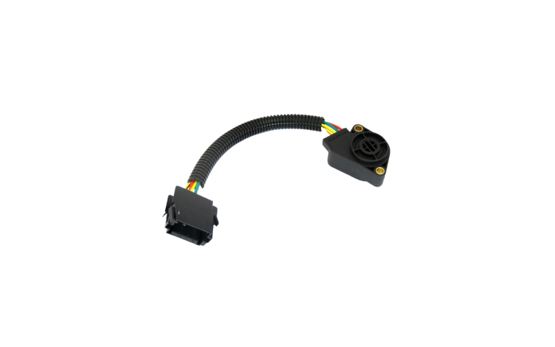 Accelerator position sensor