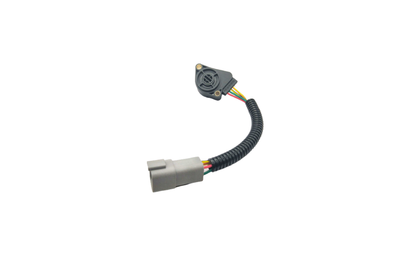 Accelerator position sensor
