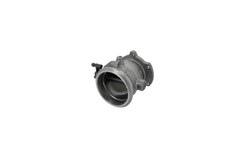 Throttle body