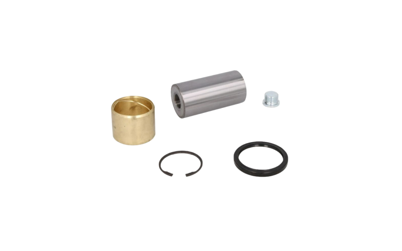 Repair kit kingpin
