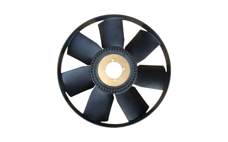 Fan