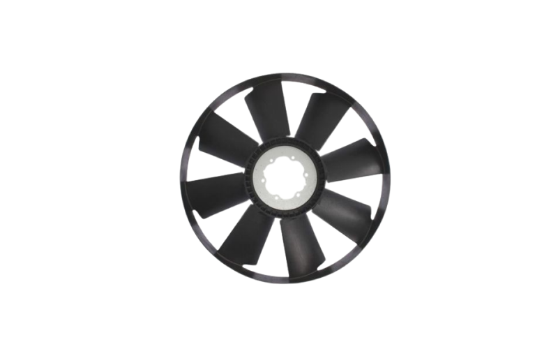 Fan